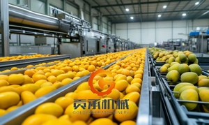 Exprimidor de alta calidad, línea de producción de pulpa de mango, fruta, jugo de manzana, línea de producción de pulpa de jugo de mango industrial, costo - Product Image 2