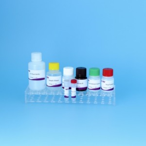 구제역 O형 <span class=keywords><strong>ELISA</strong></span> 키트 | 고급 액상 차단 분석 | 수의사용 96T/키트 - Product Image 6
