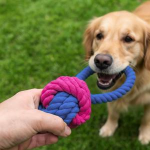 Yommy Giocattolo per Cani in Corda Intrecciata Semplice Multicolore in Cotone 23 Cm per Gioco Interattivo - Product Image 2