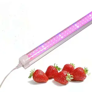 Gros Serre Système D'éclairage Rouge Et Bleu T5 T8 18w 24w Plante Poussent Tube Plein Spectre Led Lumières Hydroponiques Élèvent Des Lumières