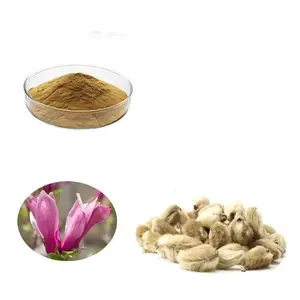 Suministro de fábrica al por mayor de alta calidad Natural Flos Magnoliae extracto en polvo