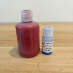 Particules de polystyrène carboxylé colorées en rouge, vert, bleu, microsphères de PS COOH teintées pour la formulation en immunodiagnostic - Product Image 1