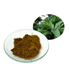 Factory supply Blood pressure Banaba extract powder Corososlic acid 10%