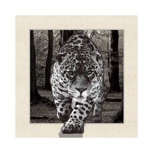 Affiche Lenticulaire 3D 5D Haute Qualité Prix Usine Impression PET Support Léopard Animal Décoration Maison Étanche Haute Résolution - Product Image 3