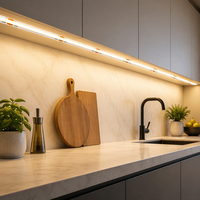 Bande LED COB sans points lumineux, éclairage flexible DC24V 4100K 320LEDs/m 12W/m 1320lm/m 115lm/W Ra80 50mm de large, pour affichage commercial, IP20