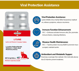 Suplementos para Gatos y Gatitos en Tabletas con Lisina Orgánica Sin Granos, Complejo de Vitamina C, Absorción Rápida, Antiviral, Refuerzo Inmunológico, OEM/ODM - Product Image 4