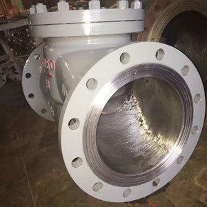 Dọc ngang nước Swing loại wcb đúc mặt bích không trở lại class600 kiểm tra van - Product Image 5