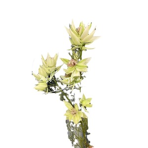 Flores Artificiales de Seda, Alta Simulación, Decoración para Bodas, Reutilizables, Reciclables, Rama Individual MNZC - Product Image 5