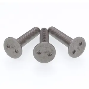 Stainless Steel 2-hole Snake Eye Pig Nose Tamper-Resistant Drilled Spanner Flat Head Security Screws