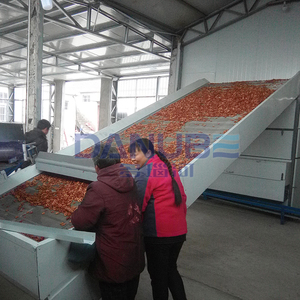 Customer Design Fruit Drying Machine Mesh Belt Dryer Mulberry Drying Equipment Peach Lemon Clean and Slice Drying Line - Product Image 3