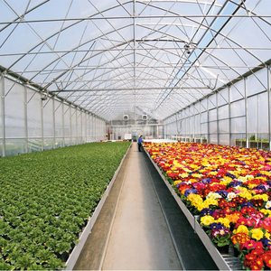 Invernadero Grande de un Solo Vano para Cultivo de Hongos, Estructura Galvanizada, Lámina de PE, Sistema de Regulación de Temperatura, Humedad y CO2 - Product Image 3