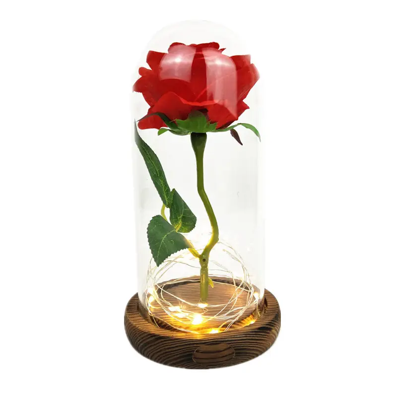 Nhân tạo vĩnh cửu Rose với LED ánh sáng vẻ đẹp trong Glass Dome cho giáng sinh trang trí nội thất và mẹ Valentines Day New năm Quà Tặng