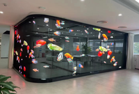 Écran transparent invisible holographique led installation sur verre lecteur vidéo 3d écran de film led écran de film flexible led