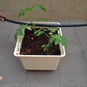 Seaux bato noirs/beiges de 11 litres avec coudes, couvertures blanches à un/deux/quatre trous seau hollandais hydroponique pour tomates et herbes - Product Image 4