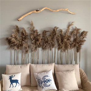 Herbe de la Pampa G24 haute <span class=keywords><strong>et</strong></span> volumineuse, en boîte carton, marron, séchée, pour décoration de mariage, style bohème, <span class=keywords><strong>bouquet</strong></span> de <span class=keywords><strong>fleurs</strong></span> naturelles - Product Image 4