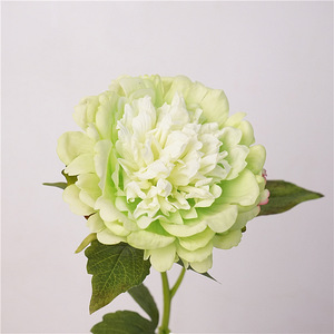 Artificiale a stelo singolo vero tocco grande testa in lattice finto bianco rosa peonia fiore per la decorazione della casa - Product Image 3