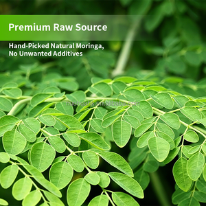 Complément Alimentaire Moringa 60 Capsules 100% Naturel Pur Soutien Immunitaire - Product Image 5