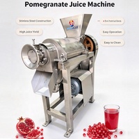 Presse-agrumes commercial automatique pour jus de grenade, machine électrique d'extraction de jus de grenade