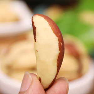 Noci del Brasile Premium: Fornitura all'Ingrosso di Noci del Brasile Naturali - Product Image 4