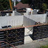 Panneaux en plastique pour les murs Coffrage de construction