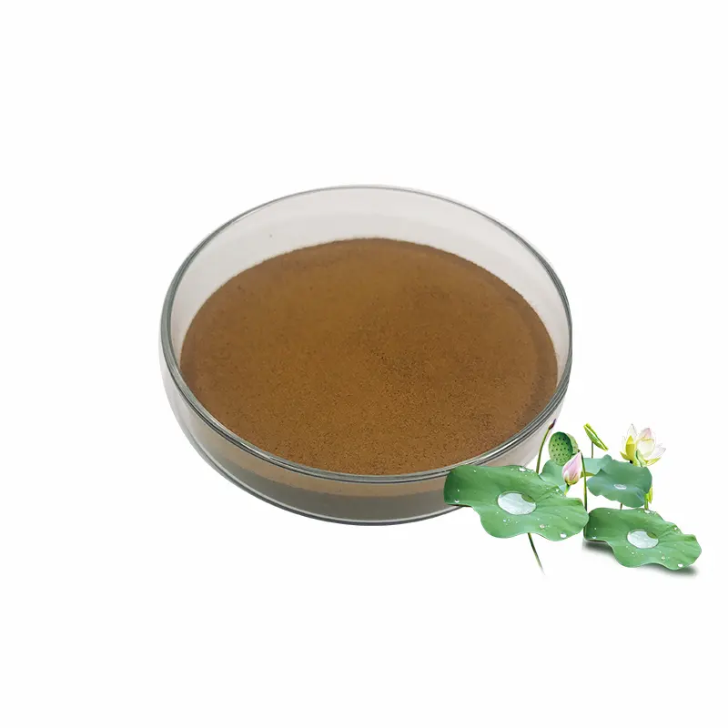 Manufacturer Nuciferine 2% 4% 10% 98% Natural lotus leaf extract powder