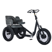 Venta de Fábrica en China: Triciclo Eléctrico para Adultos DAURADA ET-C01, Triciclo de Carga con Batería de Litio, Capacidad de Carga de 200 kg, Aleación de Aluminio