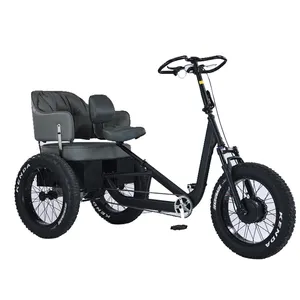 China factory sale bicycle adult electric tricycles trimoto 3 wheel electric cargo bike mobility scooters