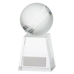 Grace crystal trophy personalized corporate gifts crystal sports trophy K9 cricket crystal trophy