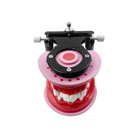 Nouveau Modèle Squelette Typodont pour la Formation en Orthodontie Dentaire, la Pratique du Traitement Orthodontique, l'Enseignement et l'Étude, avec Cire Dentaire et Gencives