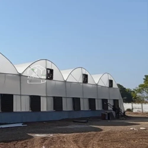 Serre de haute technologie avec système de refroidissement avancé Fan-Pad Polyhouse, structure durable et couverture résistante aux UV pour les légumes - Product Image 3