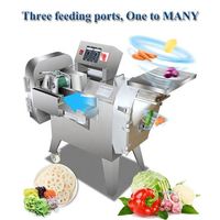 Groentesnijmachine/Aardappelfruit Groentesnijder Multifunctionele Groene Ui Groentehakselaar