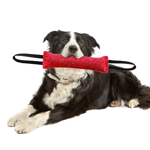 Juguete Masticable Interactivo de Poliéster Ecológico y Duradero ONESTEP para Perros, Entrenamiento Personalizado para Mascotas, Modelo 111 Hecho en China - Product Image 5
