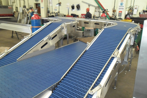 Transportador de Cadena Modular de Plástico POM PP con Marco de Acero Inoxidable de Grado Alimenticio de Alta Calidad para Línea de Producción - Product Image 6