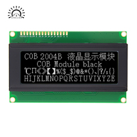 Industrieller LCD-Bildschirm 2004B 20*4 Zeichenmatrix-Modul Chip-on-Board COB-Display Breiter Temperaturbereich Hoher Kontrast