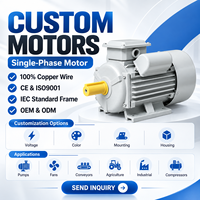 Motor Induksi Listrik AC Fasa Tunggal BIOTE 220V 60Hz dengan Casing Besi Cor untuk Pompa Air dan Mesin Industri OEM