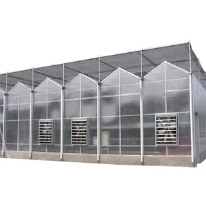 Promotional products good quality luxury sheet greenhouses made of polycarbonate