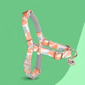 Harnais pour chien en coton de qualité supérieure, élégant, respirant, taille M, avec design anti-traction personnalisé - Product Image 1