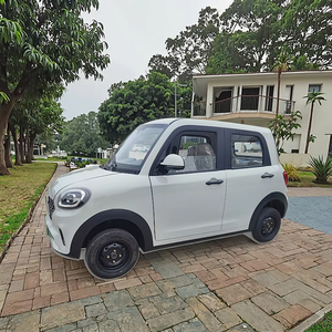 Vehículo eléctrico de nueva energía de China Multimidia equipado con vehículo eléctrico de cuatro ruedas de resistencia de 150km - Product Image 6