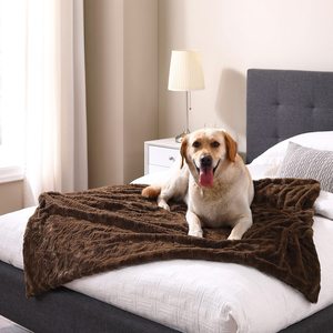 Couverture de jet pour animaux de compagnie Meilleurs amis de couverture de chien ou de chat Calming Shag Fur pour Pet Throw Blanket - Product Image 5