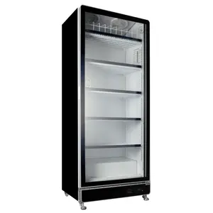 737L 슈퍼마켓 visi 냉장고에 있는 상업적인 진열장 피마자 에너지 절약 유리제 문 수직 음료 강직한 냉장고