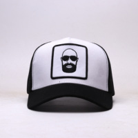 Gorra de béisbol personalizada con logotipo bordado popular al por mayor de fábrica, gorra de red de dibujos animados, gorra de camionero