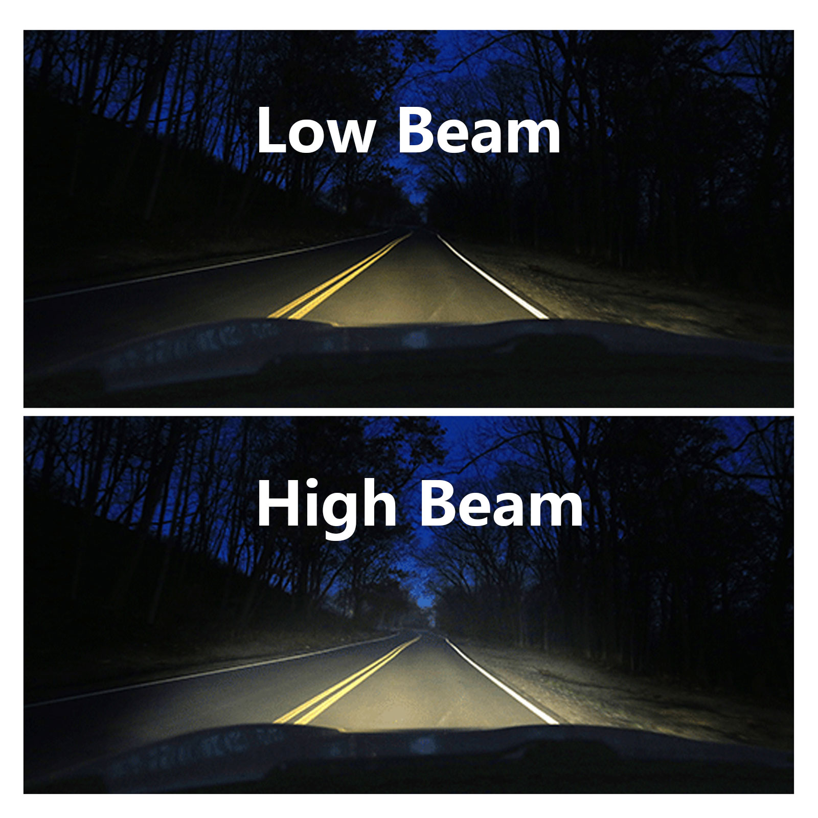 rav4 2019 headlights