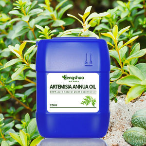 オーガニックアルテミシアアヌア葉茶薬またはエキス用天然ハーバルエッセンシャルオイル成分 - Product Image 2