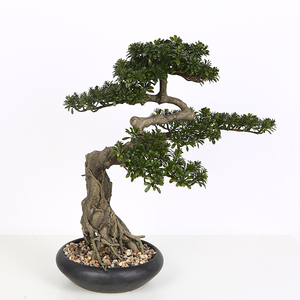 La vida-como <span class=keywords><strong>Aglaia</strong></span> Odorata Lour Milán de Banyan plantas artificiales árbol Bonsai - Product Image 1