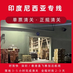 Ligne de fret aérien Shenzhen Junfei Logistics Indonésie, livraison rapide de Shenzhen vers l'Indonésie, dédouanement de marchandises générales - Product Image 3