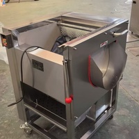 MA Fabrikant Fruit- en groentewas- en schilmachines Verwerkingsinstallaties Commercieel gebruik Eenvoudige bediening 220V