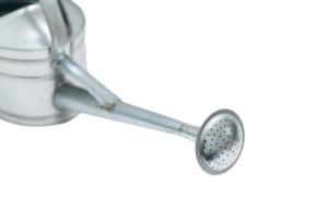 Bidon d'eau 5L métal arrosoir galvanisé fournitures outils pour extérieur intérieur jardinage plantes ovale avec poignée et bec verseur - Product Image 2