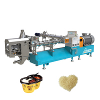 Fully Automatic High Capacity Motor-Driven Fortified Rice Processing Line with 304 Stainless Steel Construction