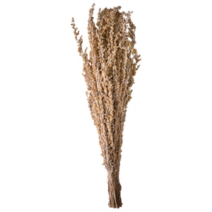 Meilleur Prix Lot d'Herbes Séchées d'Armoise Bio Aromatiques 45-50 cm pour Bain de Vapeur, Relaxation, Aromathérapie et Sauna, Directement du Fabricant - Product Image 1