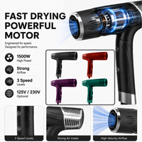 Sèche-cheveux professionnel ionique 2400W, séchage rapide, compact, faible bruit, air froid, avec diffuseur et concentrateur